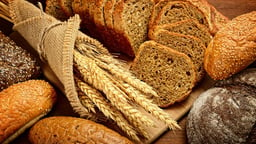 Carbohydrates: Composition, Storage, and Use