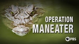 Operation Maneater