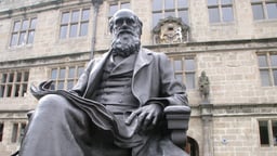 Science, Darwin, and Anthropology