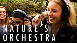 Nature's Orchestra - Sounds of Our Changing Planet