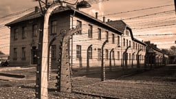 The Holocaust - 1933 - 45