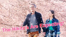 The Hikita's Are Expecting!