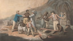 Opposing the African Slave Trade