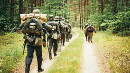 Forest Brothers: Baltic Partisan Warfare