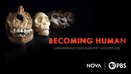 NOVA: Becoming Human - Unearthing Our Earliest Ancestors
