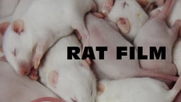 Rat Film - The History of Baltimore Told Through a Unique Lens