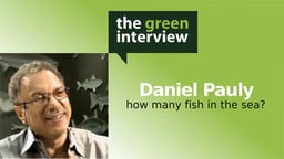 Daniel Pauly: How Many Fish in the Sea?