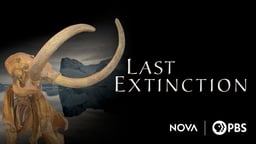 Last Extinction - Megabeasts' Sudden Death
