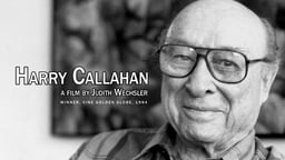 Harry Callahan - An American Photographer