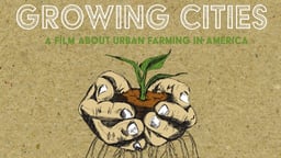 Growing Cities - Examining the Role of Urban Farming in America