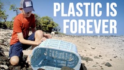 Plastic Is Forever