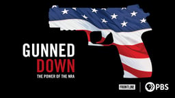 Gunned Down - The Power of the NRA