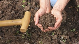 Prepare Healthy Soil and Plant for Spring