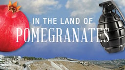 In the Land of Pomegranates - Stories of Israeli and Palestinian Youth