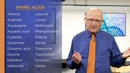 Amino Acids: 20 Building Blocks of Life