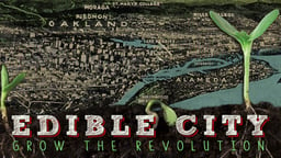 Edible City - Local Food Systems