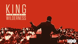 King in the Wilderness - The Final Years of Dr. Martin Luther King, Jr.