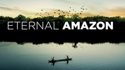 Eternal Amazon (Amazonia Eterna) - Exploring the Amazon Rainforest