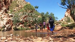 Cool Drink and Culture