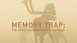Memory Trap: The Herd That Wouldn't Disappear