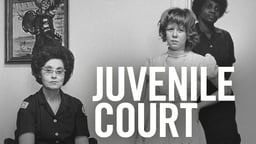 Juvenile Court - The Complex Cases at the Memphis Juvenile Court
