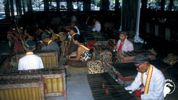 A Balinese Gong Orchestra