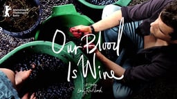 Our Blood Is Wine - Georgian Winemaking Traditions