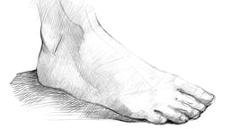 The Figure: The Head, Hands, and Feet