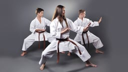 Karate: Fighting Stance and Mobility