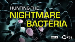 Hunting the Nightmare Bacteria