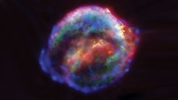 Supernovas and the Death of Stars