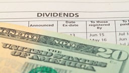 Why Should You Care about Dividends?