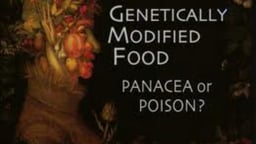 Genetically Modified Food - Panacea or Poison
