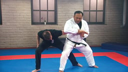 Jujitsu: Pliable Grappling Methods