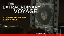 The Extraordinary Voyage (2011)