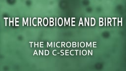 The Microbiome and C-Section