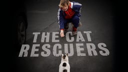 The Cat Rescuers