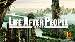 Life After People - Season 2