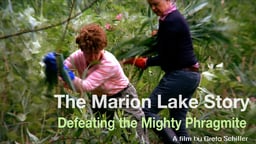 The Marion Lake Story - Defeating The Mighty Phragmite
