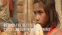 Beyond the Glitter: Mica