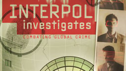 INTERPOL Investigates