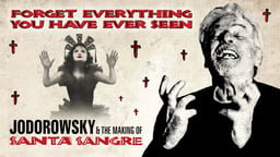 Forget Everything You Have Ever Seen: The World of Santa Sangre