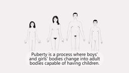 Puberty Basics