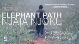 Elephant Path - Njaia Njoku