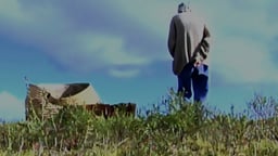 Always Have and Always Will