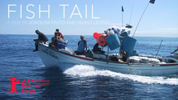 Fish Tail - Industrial Overfishing in a Small Azores Community