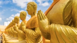 The Teachings of the Buddha
