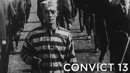 Convict 13