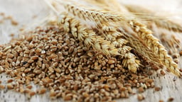 Nutritious and Satisfying Whole Grains