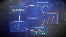 Omics: Genomics, Proteomics, Transcriptomics
